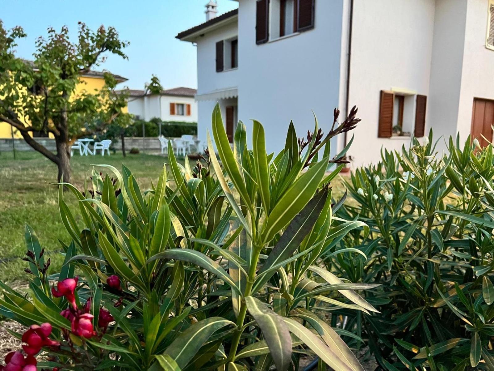 Private Apartment With Garden Канниджионе Экстерьер фото